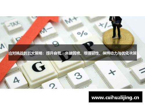 应对挑战的五大策略:提升自我、突破困境、增强韧性、保持动力与优化决策 应对挑战的五大策略:提升自我、突破困境、增强韧性、保持动力与优化决策