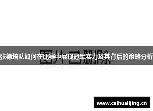 张德培队如何在比赛中展现冠军实力及其背后的策略分析